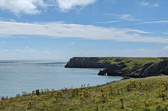View of the sea and nearby headlands from a clifftop