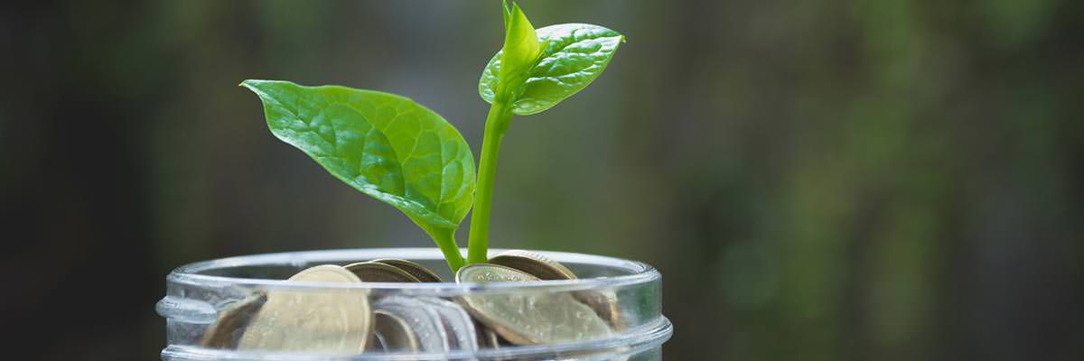 Green shoot sprouting from a jar full of coins