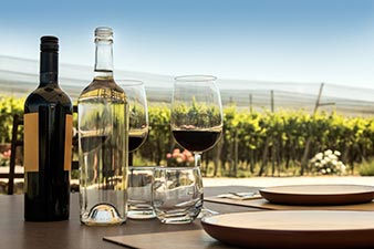 Food and wine in a sunny vineyard
