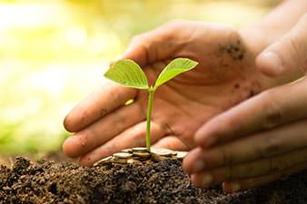 Hands nurturing a small green shoot growing out of a mound of earth and coins