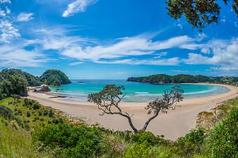 Abel Tasman beach